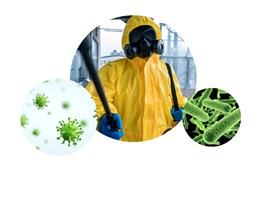Virus y bacterias